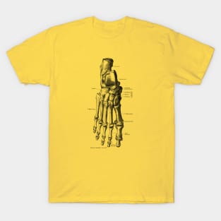 Right Foot Skeletal Diagram - Vintage Anatomy T-Shirt